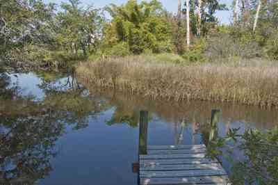 wilson+house-bayou_02.jpg:  