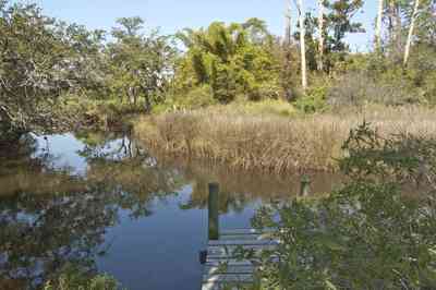 wilson-bayou_01.jpg:  