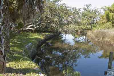 wilson-bayou_02.jpg:  