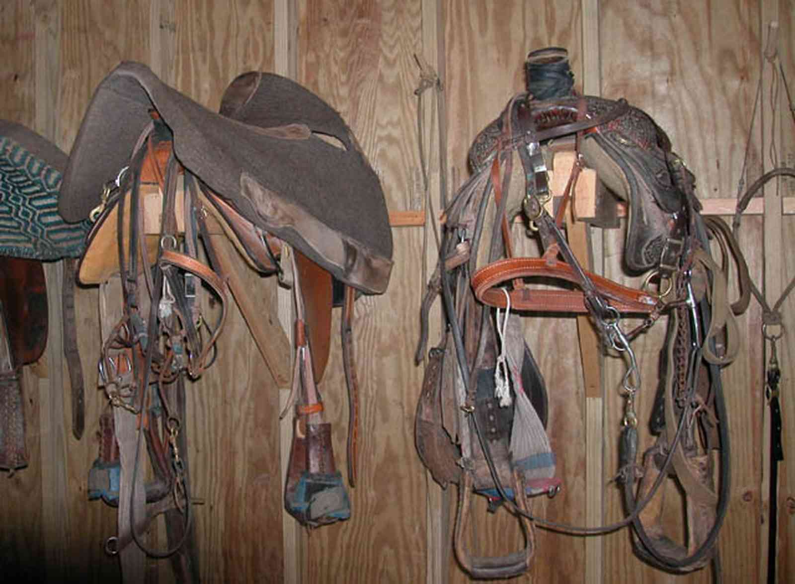 Century:-Brown-Farm_09.jpg:  saddle, tack room, horse, farm, rodeo rider