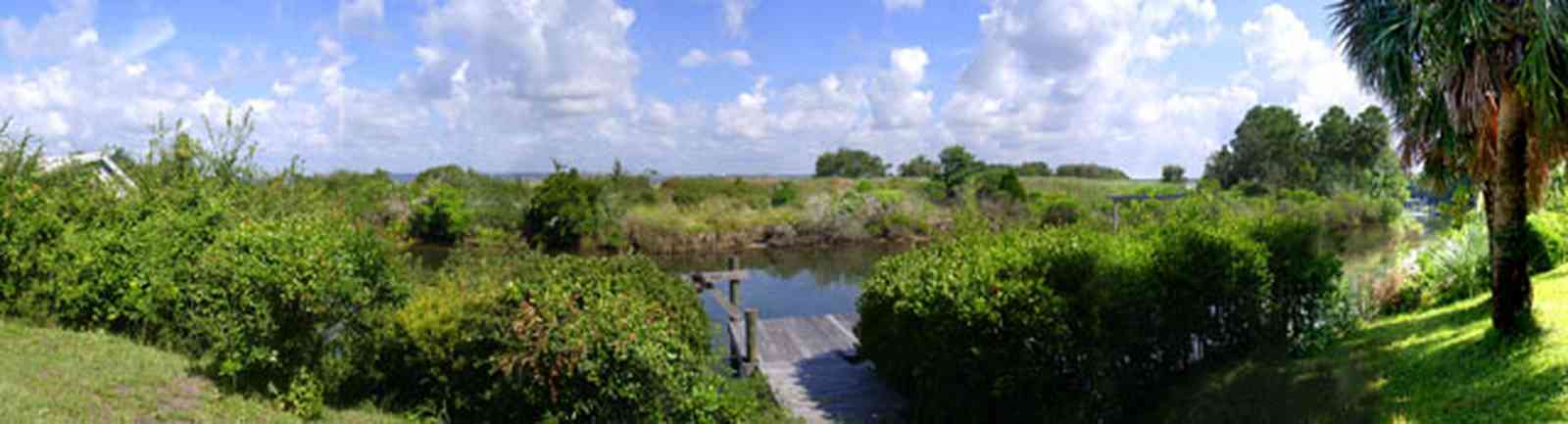 Gulf-Breeze:-Navy-Cove-House_06.jpg:  gulf coast, gulf of mexico, navy cove, palm tree, island, gulf breeze