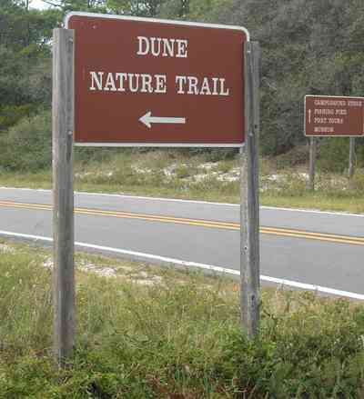Gulf-Islands-National-Seashore:-Dunes-Nature-Trail_01.jpg:  dunes, barrier island, two-lane road, national park service, sea oats, gulf of mexico