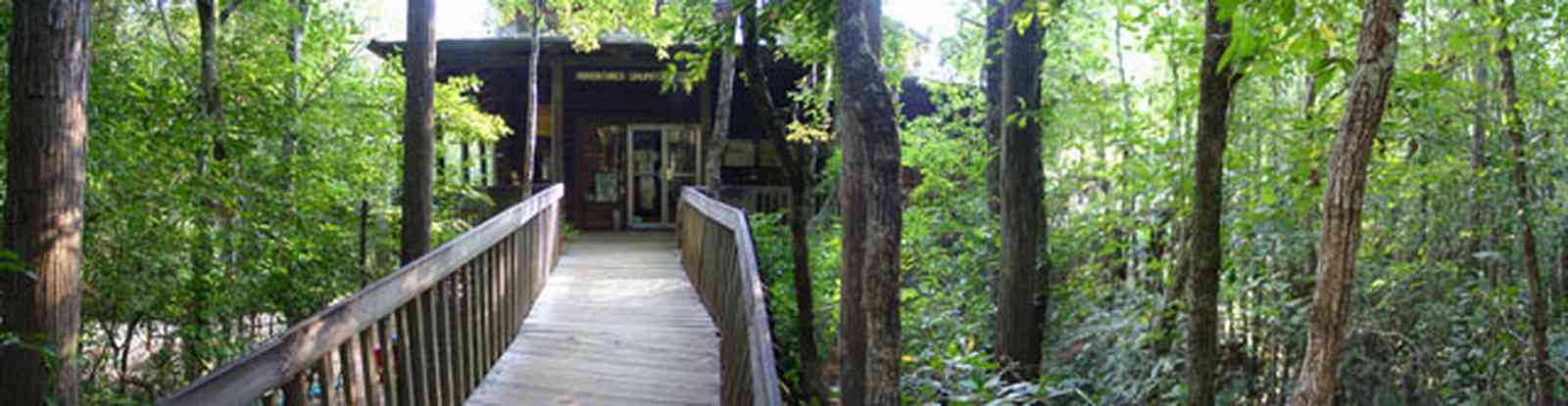 Milton:-Adventures-Unlimited_04.jpg:  swamp, office, camp store, deck, pier