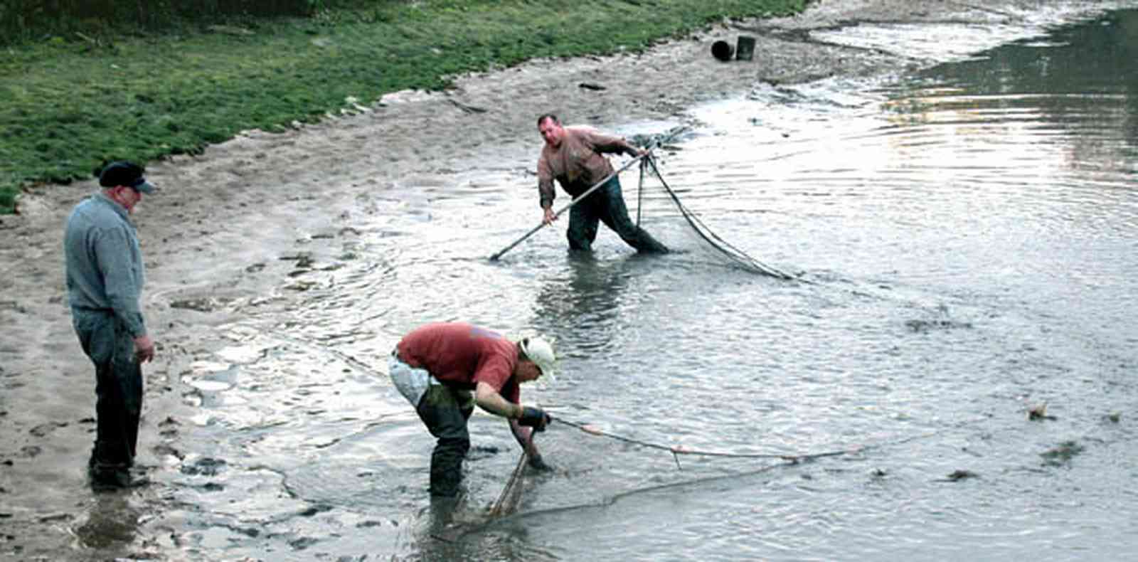 Milton:-Stewart-Farm_05a.jpg:  cast net, fish farm, shrimp, prawns, lake, pond