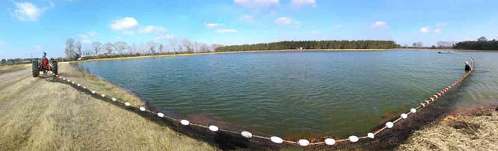 Oak-Grove:-Carpenters-Catfish-Farm_17b.jpg:  catfish pond, catfish harvest, seine, tractor, net