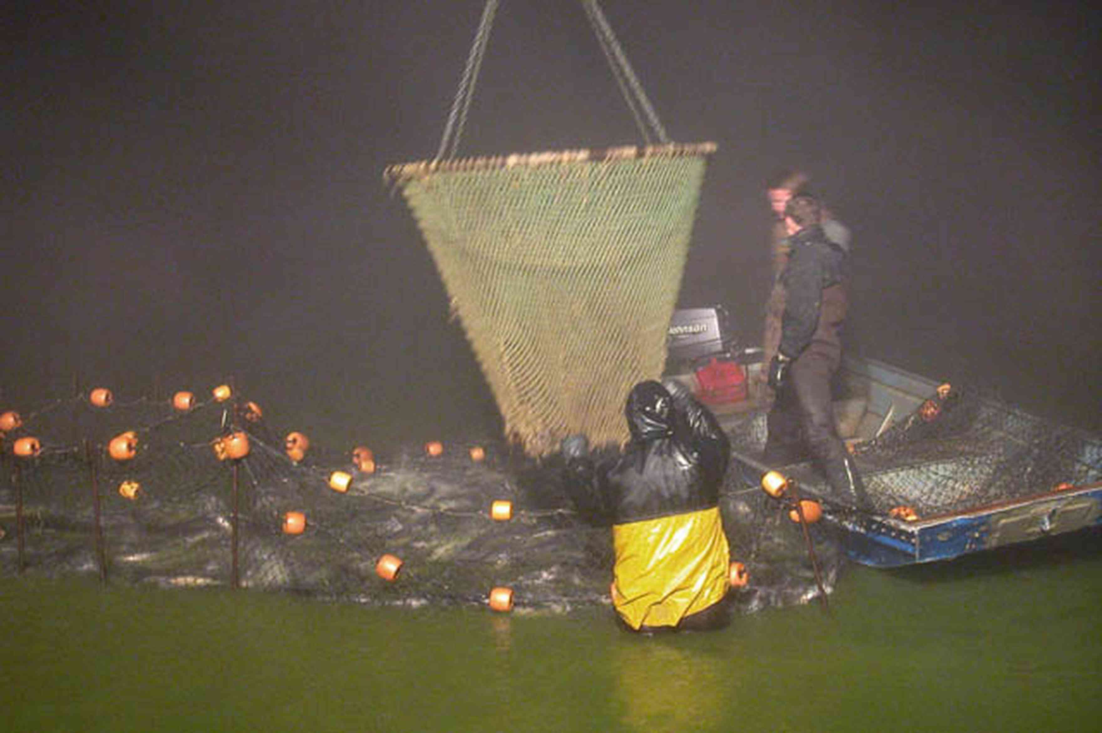 Oak-Grove:-Carpenters-Catfish-Farm_23.jpg:  catfish, seine, net, rowboat, fishermen