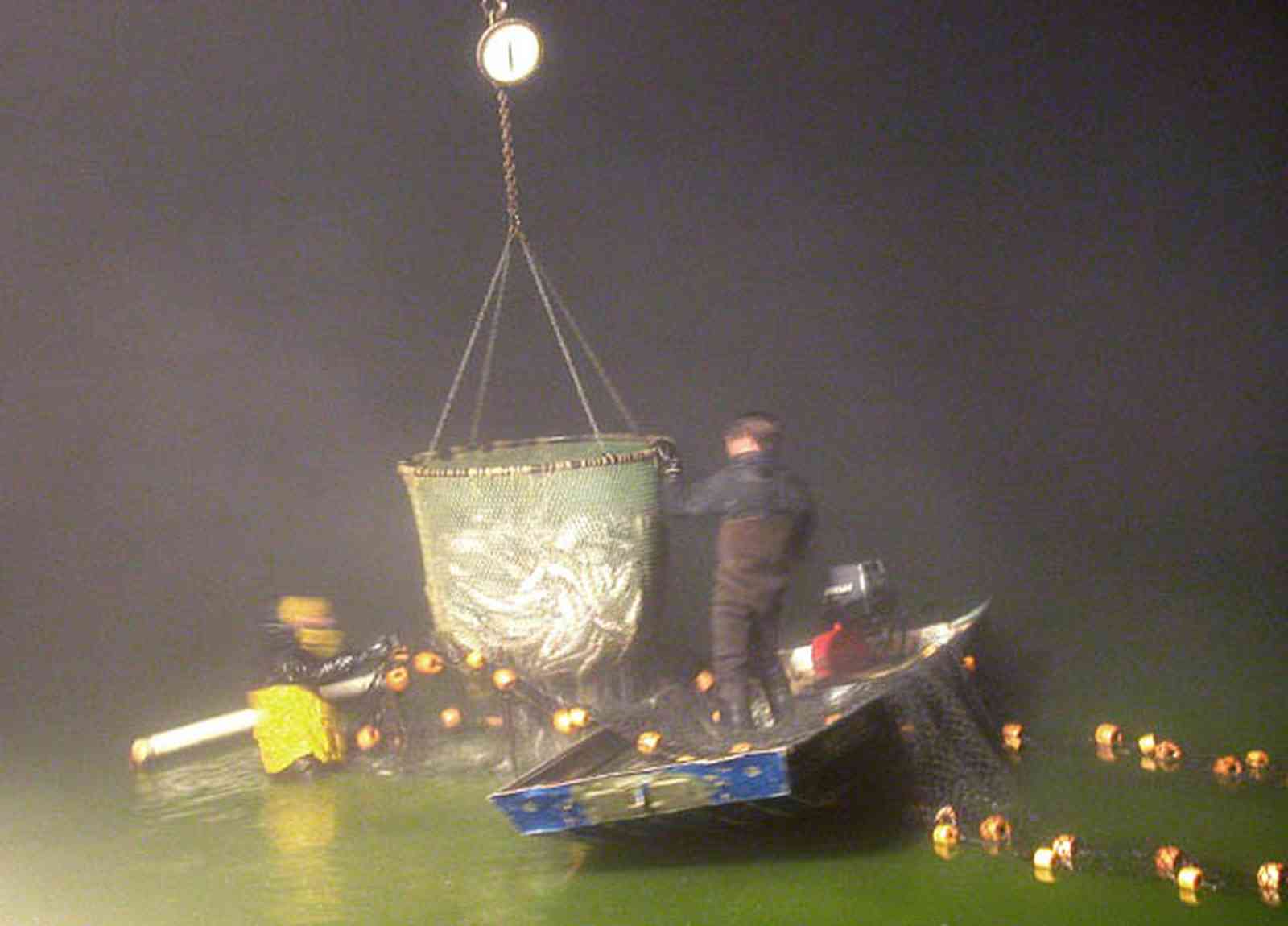 Oak-Grove:-Carpenters-Catfish-Farm_25.jpg:  net, seine, rowboat, fishermen. catfish farm