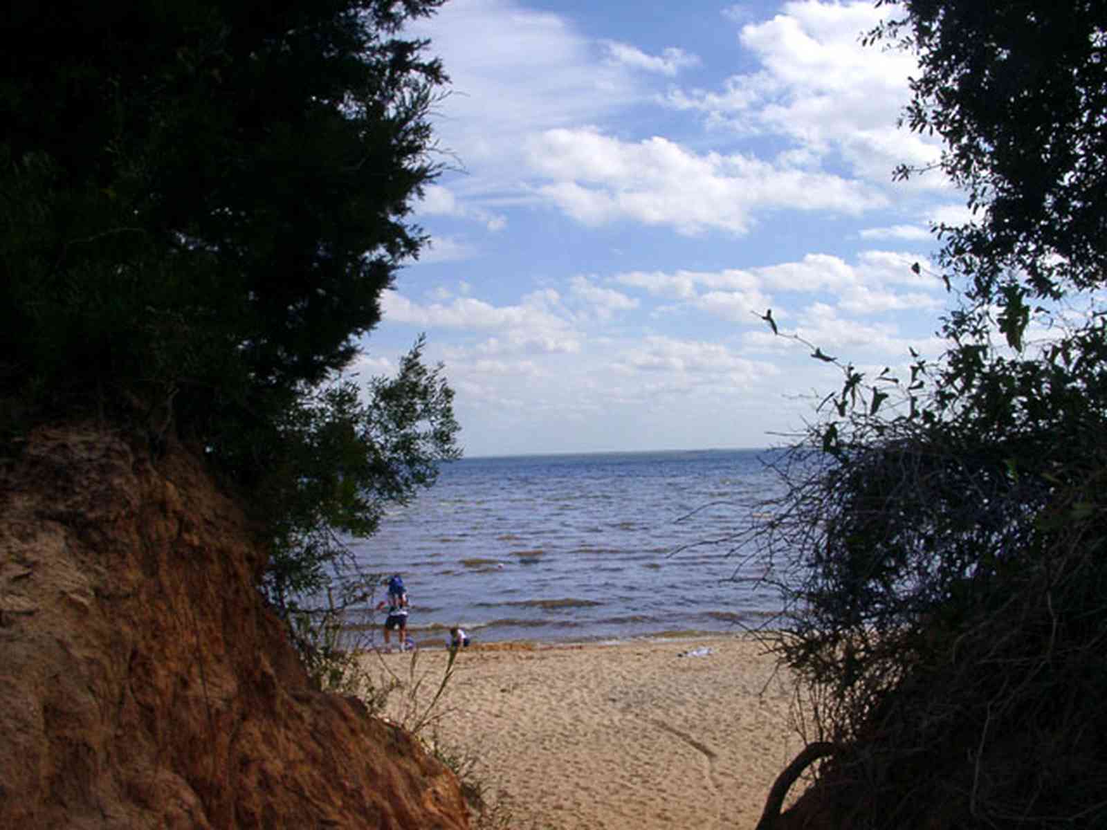 Scenic-Highway:-Bay-Bluffs-Park_04.jpg:  clay bluffs, gulf coast, escambia bay, beach