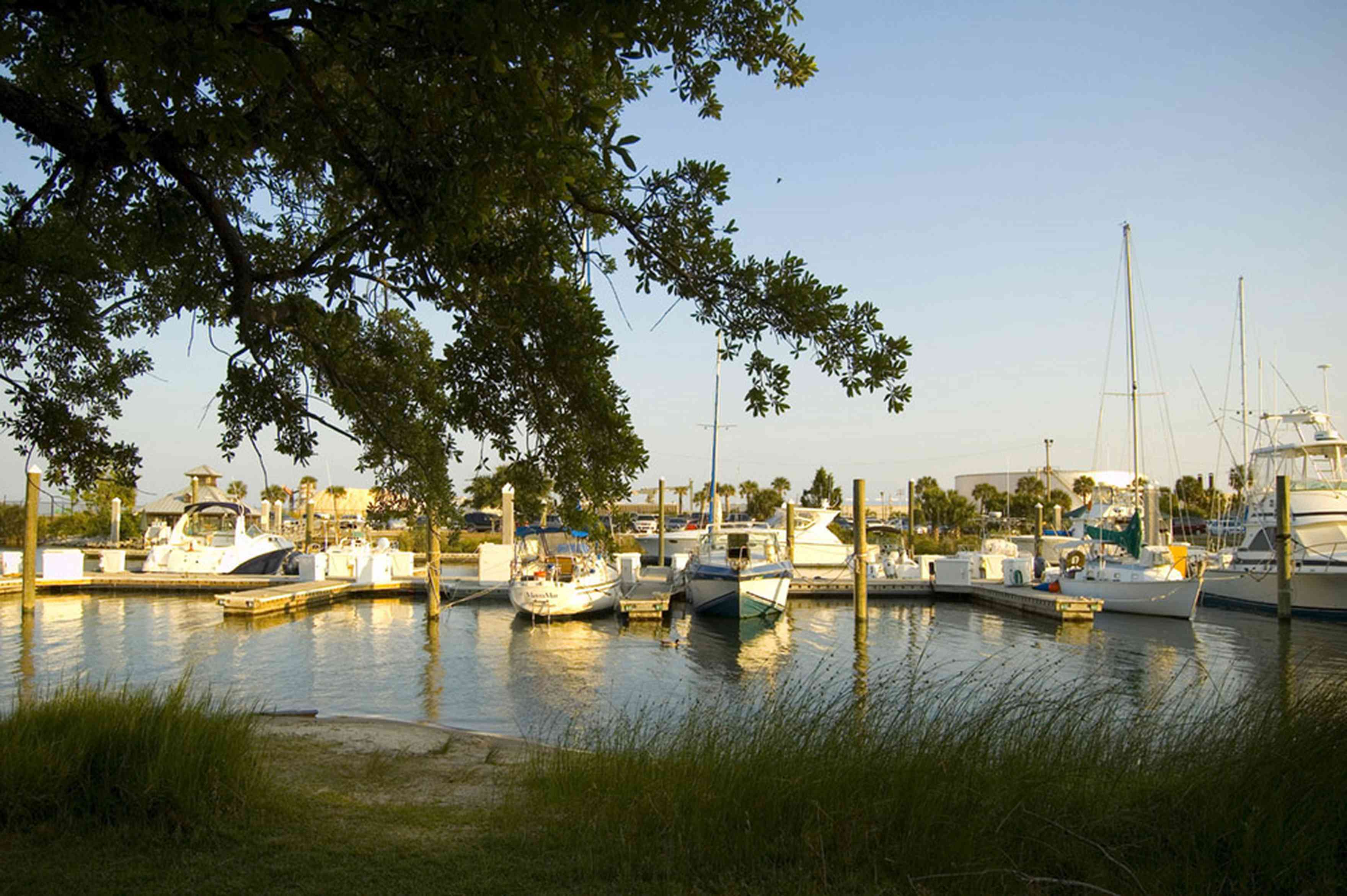 Seville+Harbor+Marina+WEB_05.jpg:  bartram park, oak tree, boat, yacht, bay, 