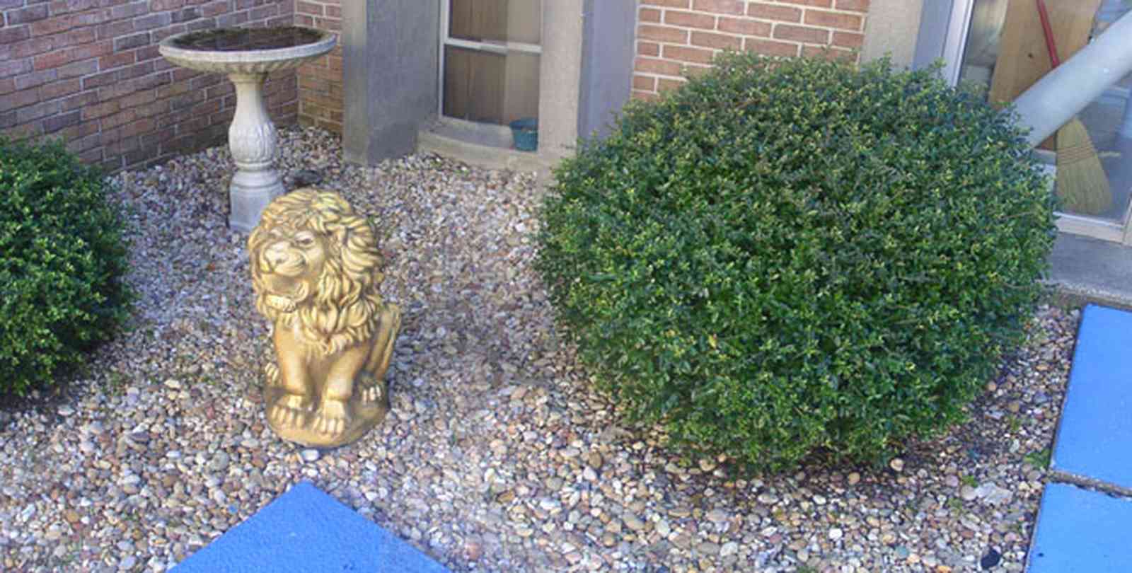 University-Of-West-Florida:-Campus_14.jpg:  mascot, student, dormitory, fraternity, sorority